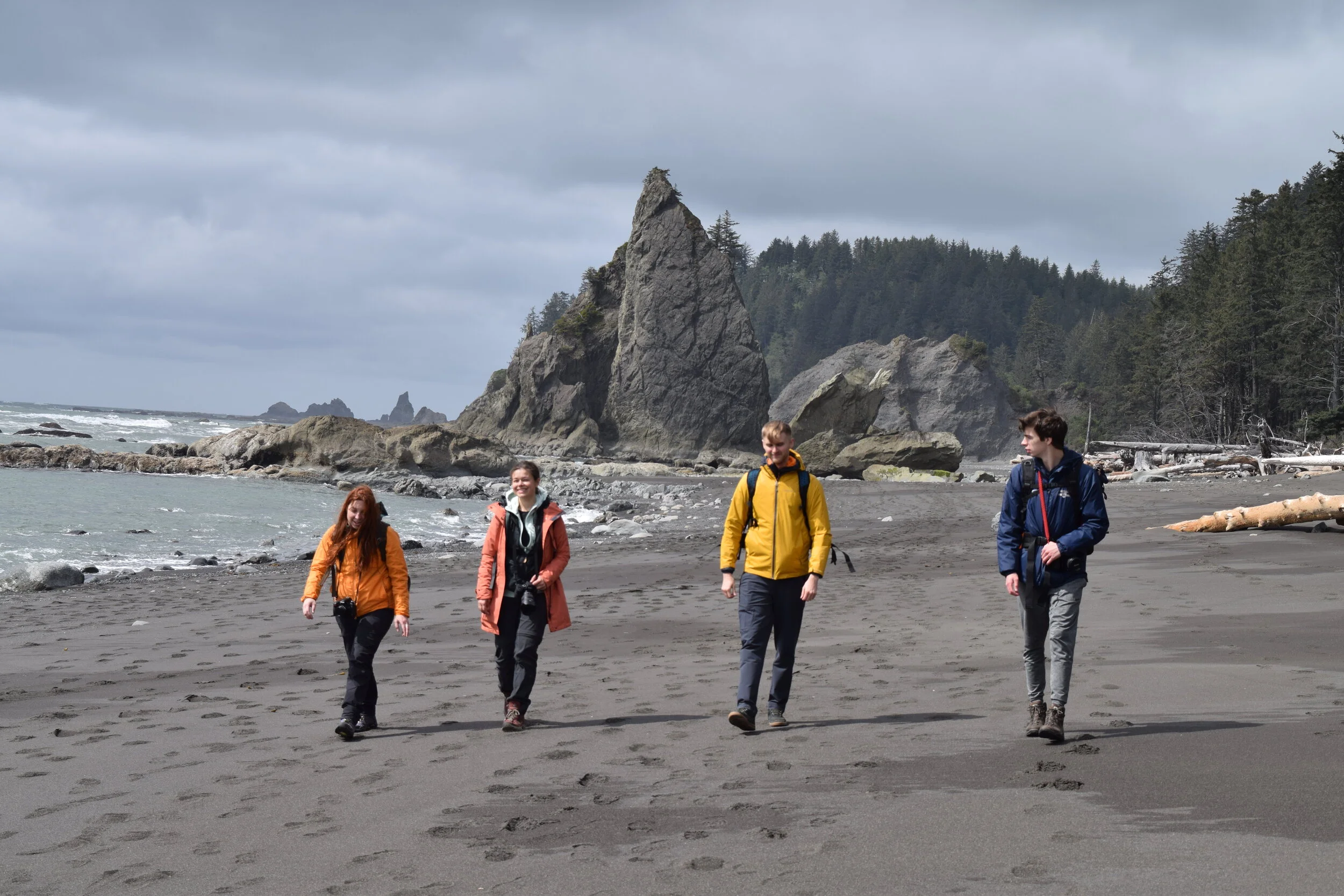 Group Tours | Olympic Hiking Co.